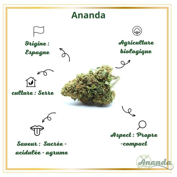 caractéristiques fleur cbd ananda