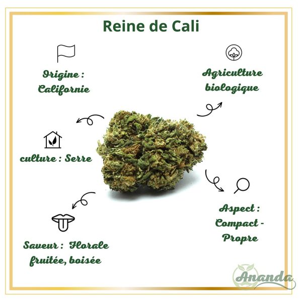 caractéristiques fleur cbd reine de cali