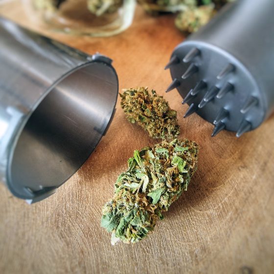 grinder cbd plastique